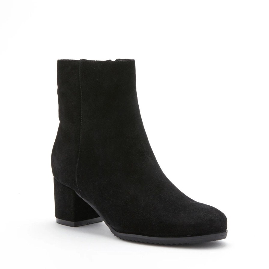 Shoes blondo | Alida Black Suede